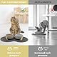 Zosenyer Katzennapf, 2 Stück Keramik Futternapf Katze Set, 3-in-1 rutschfeste Katzennäpfe mit Holzstände und Matten, Fressnapf und Wassernapf für Katzen und Kleine Hunde