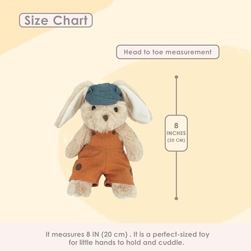 MON-AMI-Benjamin-Bunny-Stuffed-Animal-Plush-Toy-8-Dressed-Bunny-with-Floppy-Ears-Soft-Cuddly-Rabbit-Stuffed-Animal-for-Kids-of-All-Ages MON AMI Benjamin Bunny Stuffed Animal Plush Toy 8 Dressed Bunny with Floppy Ears Soft Cuddly Rabbit Stuffed Animal for Kids of All Ages