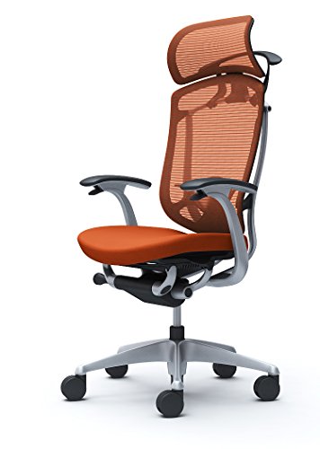 �I�J���� �I�t�B�X�`�F�A �R���e�b�T �Z�R���_ �Œ�I �G�N�X�g���n�C�o�b�N ��:�N�b�V���� �I�����W���b�h CC48GS-FPD8