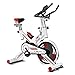 Heimtrainer Radfahren Indoor Spinning Bikes Stationäres Fahrrad, Superleiser Riemenantrieb Schwungrad, Mit LCD-Monitor & Handyhalterung, Fitnessrad Für Heimtraining Cardio-Training ( Color : White )