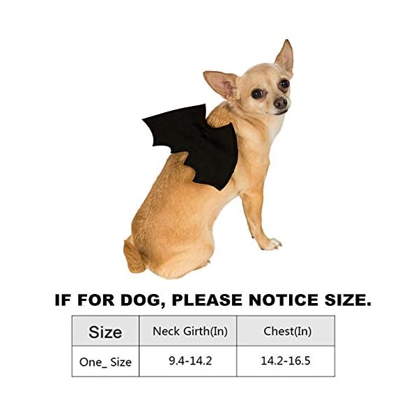SEALEN Halloween Pet Cat Bat Wings, Bat Costume Pet Apparel for Cats and Small Dogs, Cosplay Bat Wing Costume Decoration for Halloween Party - Image 4