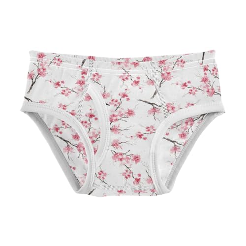 Boys' Exclusive Briefs Toddler Underwear 95% Combed Cotton Boxerbriefs 2T Cherry Blossom Pattern 55