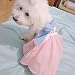 Xingsiyue Ropa Hanfu para Mascotas, Disfraz de Perro Cosplay de Estilo Chino,...