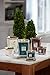 Yankee Candle Elevation Collection with Platform Lid Frosted Fir Scented Candle, Large 2-Wick, 80 Hour Burn Time