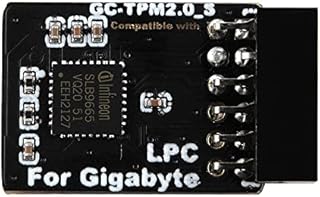 NewHail TPM2.0 Module LPC 12Pin Module with Infineon SLB9665 for Gigabyte Motherboard Compatible with GC-TPM2.0_S