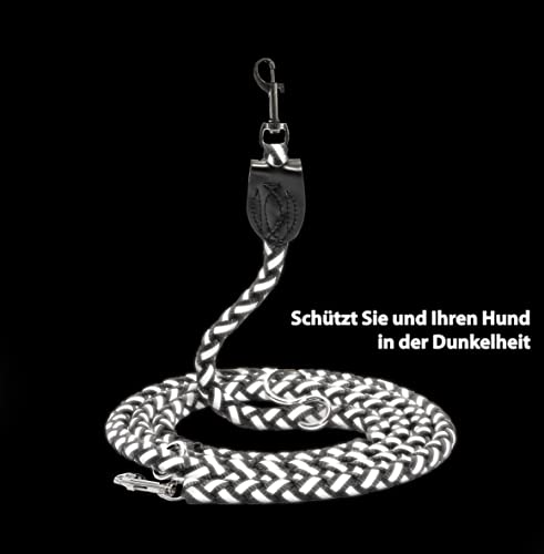 Generisch Premium Hundeleine, reflektierend, geflochten, multifunktionale Doppelleine, 2,5 m lang, 15 mm Durchmesser, für kleine/mittlere/große Hunde, extra reißfest, aus Nylon