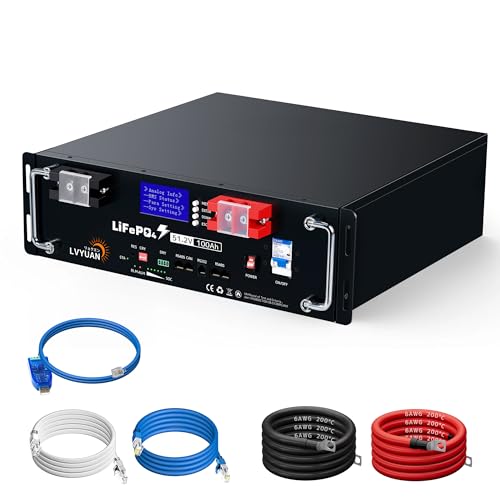 LVYUAN 51.2V 100Ah 48V LiFePO4 _S`ECIobe[ 5.12kWh LCD^b`fBXvC RS485 CAN e[^ʐM 6000ȏTCN BMS bN^ ^&y Grade-AZ̗p Ԓ