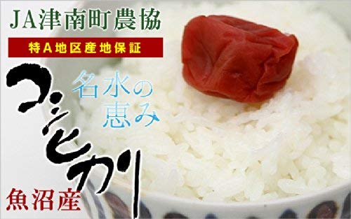 Amazon.co.jp: 令和7年産 魚沼産 コシヒカリ 新潟 JA魚沼産 安心の