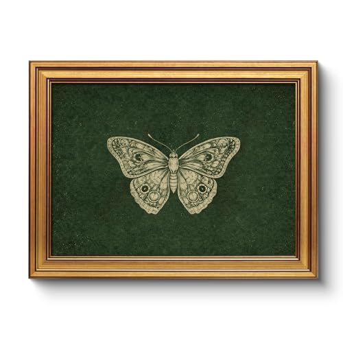 Natural History Museum Butterfly Collection Framed Prints