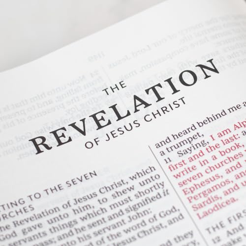 THE BOOK OF REVELATION (6:1-6:6)