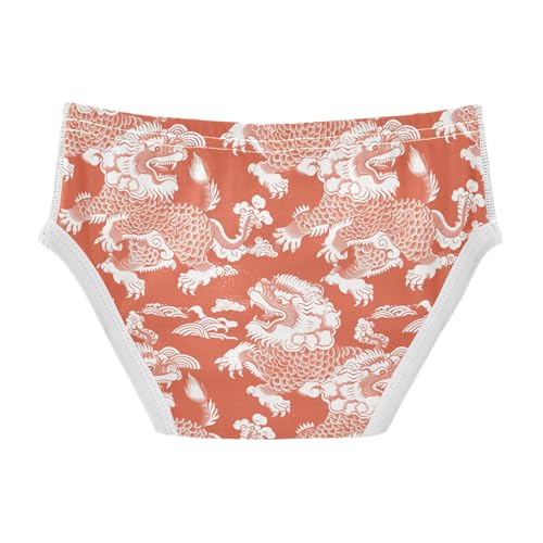 visesunny Boys Potty Training Underwear Abstract Cartoon Lion Animal Breathe Cotton Briefs Size 2T-8Y for Toddler2