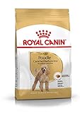 La formula contiene nutrienti specifici che il barboncino possono dare un sano, morbido pelo.