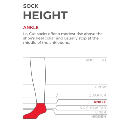 Image of True Energy Women's Ankle Socks with TRU-X Technology, Sports Socks with Cushioned Comfort and Active Recovery, 3 Pairs
