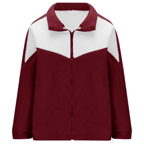 Thick Warm Thick Fuzzy for Women Winter Fall Long Sleeve Velvet Color Block Loose Fit Jacket Outfit Women 20254