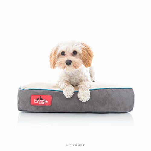 brindle memory foam dog bed