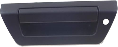 Para Ford F-150 Manija de puerta trasera 2015 2016 2017 | Bloqueo manual | con orificio para llave | Negro | Plástico | FL3Z9943400HA