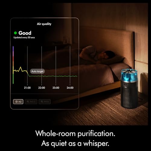 Dyson air purifier Big+Quiet