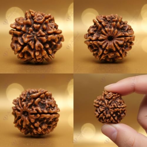 Image of Arihant Gems & Jewels Original 7 Mukhi Nepali Rudraksha Pendant | Natural Certified Seven Mukhi Rudraksha in 925 Sterling Silver | Premium Nepal Rudraksh Spiritual & Astrological Jewelry for Men & Women.