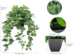 365 Blooming Decor Realistic Artificial Pothos Ivy Plant, Fake Devil's Ivy, for Office, Home Decor, 30" H x 22.8" W, in Contemporary Black Pot //No Assembly Required//fade-resistant.