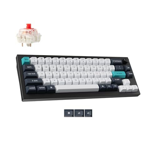 Image of Keychron Q2 Max Wireless Custom Mechanical Gaming Keyboard, QMK /VIA Programmable Knob 2.4 GHz /Bluetooth 5.1 /Wired, 65% Compact RGB Hot-Swap with Gateron Red Switch for Mac Windows Linux - Black