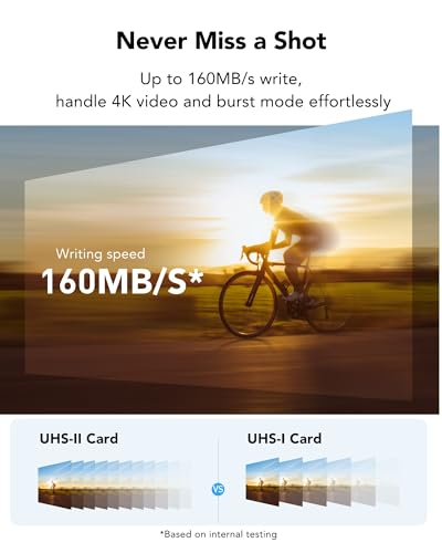 Image of Lexar Silver PRO SD Card 1TB, UHS-II SD Memory Card, V60, U3, C10, up to 280MB /s Read, 160MB /s Write, SDXC Card for DSLR /Camera /Photographer /Videographer /Enthusiast (LSDSIPR001T-BNNNG)
