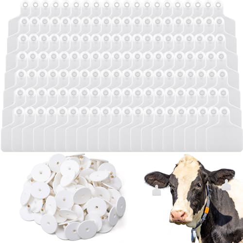 Lothee 300 Pcs Blank Cattle Ear Tags Large Plastic Animal Cow Tags, White