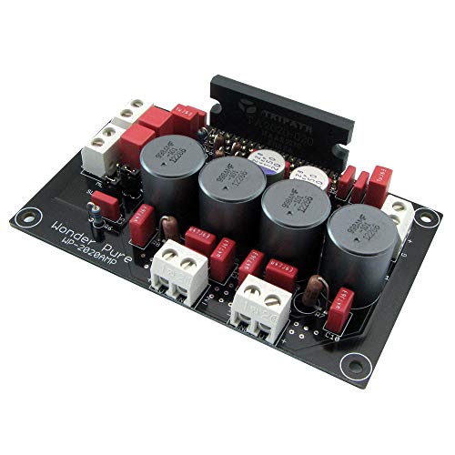 Wonder Pure WP-2020AMP - DXGデジタルアンプ基盤完成品 41zDCWtRiaL.jpg