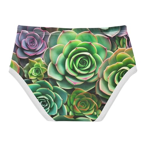 Toddler Girls Underwear 2t Cotton Panties for Girl Durable Underpants Briefs Succulent Plants Rosettes Green2