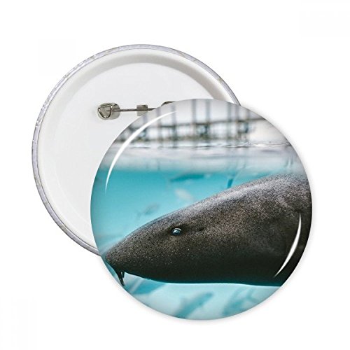 Pins requin océan et badge rond animal marin pour décoration de vêtements