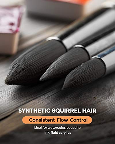 Nicpro 10 Pcs Professional Watercolor Paint Brush Set, Artist Soft Synthetic Fine Squirrel Paint Brushes - Round Tip, Flats, Dagger, Oval Wash For Adult Detail, Water Color, Gouache - Come With Holder #TOP4