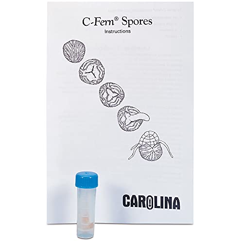 C-Fern Spores, Wild Type, Presterilized Vial, Kit-Sized