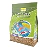 TetraPond Pond Sticks, Pond Fish Food, for Goldfish and Koi, 1.72 Pounds