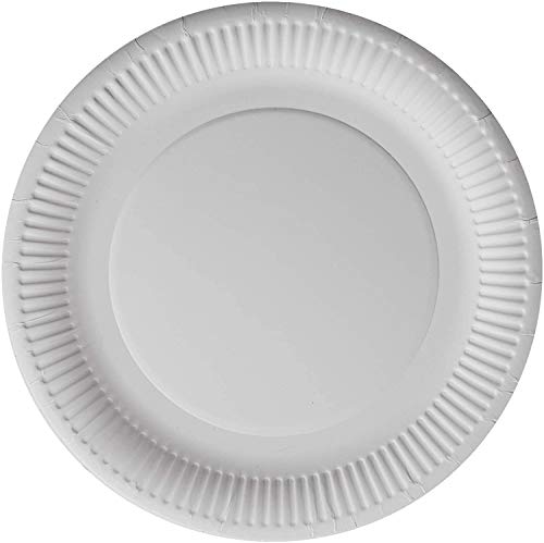 REAL ACCESSORIES Large Paper Plates, Disposable Paper Plates 9 Inch Used for Hot Cold Food Pack of 100 Perfect for Christmas Birthday Picnic Any Household Party - Image 5