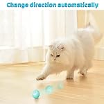 Interaktives Katzenspielzeug Ball, Katzenball mit LED-Licht, 360° Selbstdrehender Elektronischer Katzenball, Stimulierung Jagdtriebs Lustiges Bälle Spielzeug für Katzen, Blau (Blau) – Bild 3