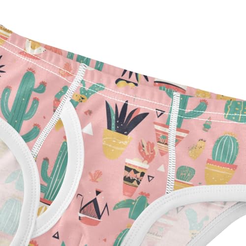 Wusikd Cacti Succulents Boys' Underwear Cotton Cute Boys Briefs Soft Toddler Underwear 2T4