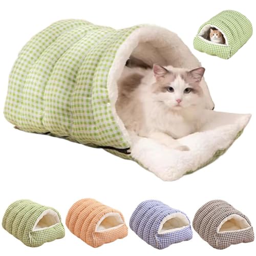 Shnmersy L  xbhy2WAYdlEJzh[^ ~ ӂӂ _炩 LpQ ̖Lbgxbh NbV }bg zc ۉ h΍ 􂦂 p xe ʔNp