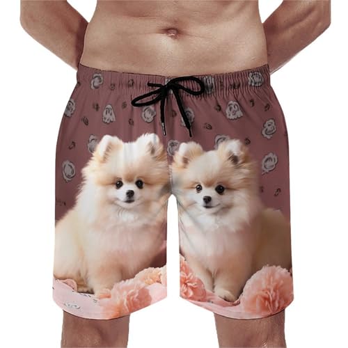 Mens Shorts Pomeranians Puppies and Point Men Swim Trunks Quick-Dry Beach Shorts with Drawstring Pocket Bathing Suit