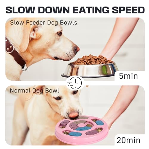 Blanlody Hundespielzeug Intelligenz， Intelligenzspielzeug für Hunde mit Quietschend Interaktives Hundespielzeug mit Beschäftigung， Futterspielzeug Hund für Kleine, Mittlere, Große Hunde und Katzen