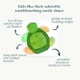 2 Minute Toothbrushing Turtle Timer with Colorful & Fun 30 Sec Light Up Flippers