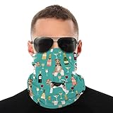 chihuahua foxterrier mix High Elastic Seamless, Cylinder As A Whole, Soft Texture, Skin-Friendly Breathable And Water-Absorbent, Soft And Close-Fitting, No Ball, No Decolorization, No Peculiar Smell, Easy To Clean, Soft And Skin-Friendly Fabric, But The Method Of Doing Everything, Not Locking, Better Elasticity, Washable Color.