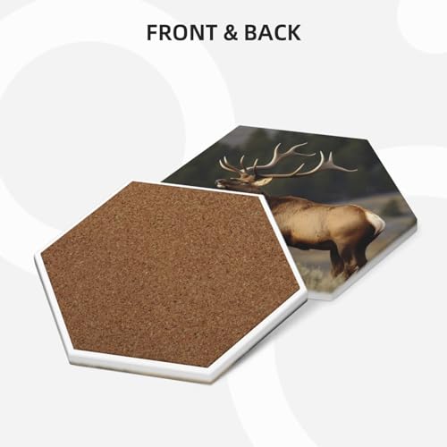 Dessous de verre céramique support métal liège décoration intérieur