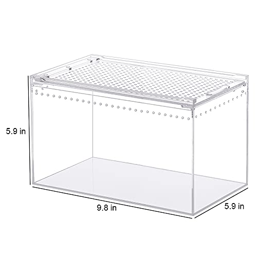 Naneezoo Magnetic Acrylic Enclosure, 10X6X6 Inch Tall Long Case Reptile Habitat Terrarium Cage For Terrestrial Arboreal Tarantula Scorpion Sling Isopods Lizards Invertebrates Insect Mantis thumb #4