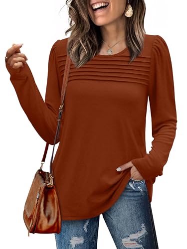 WIHOLL Long Sleeve Shirts for Women Crewneck Tops Tunic Fall Winter Sweatshirts 2025 Clothes2