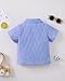 18 Months Toddler Boy Clothes Baby Boys Summer Outfits Short Sleeve Button Down Shirt Lapel Neck T-Shirt Toddler Summer Tops 24 Month Boy Clothes
