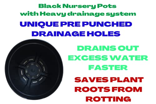 Image of Naturally Green Unique Drainage System Nursery Pots with Multi Holes for Balcony Terrace Plants Pack of (4 inch, 20)