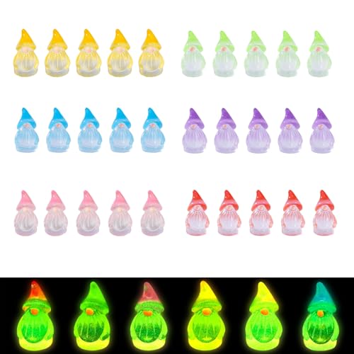 Goiern 30 Stueck Leuchtende Mini Harz Gartenzwerge Winzige GNOME Fee...