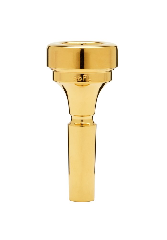Amazon.com: Denis Wick DW4884-5BFL Gold-plated Flugelhorn