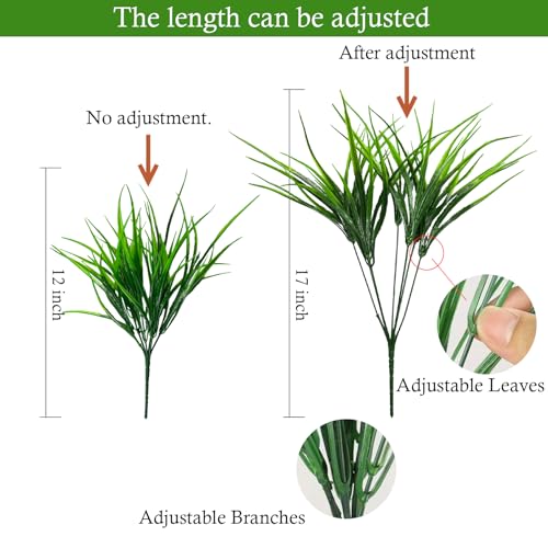 Recopilación y reviews de Comprar plantas online baratas más recomendados. 6 Imagen adicional