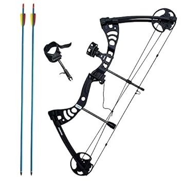 compound bow 55 lbs
