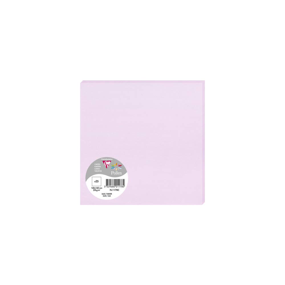 Clairefontaine 1178C karty pojedyncze x25 16x16 cm 210 g gładkie